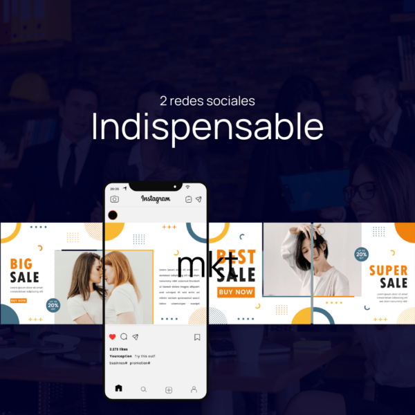 Plan Indispensable Anual